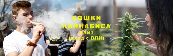 прущие грибы Абаза