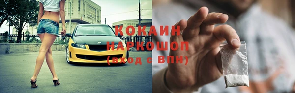 прущие грибы Абаза