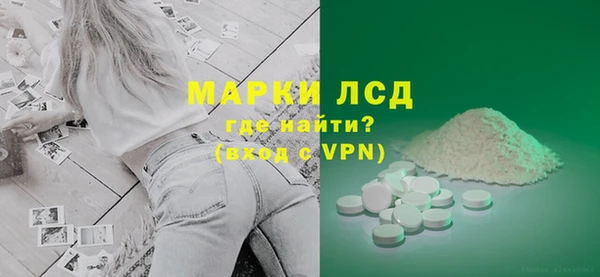 прущие грибы Абаза