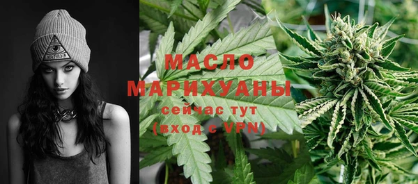 прущие грибы Абаза