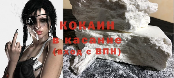 прущие грибы Абаза