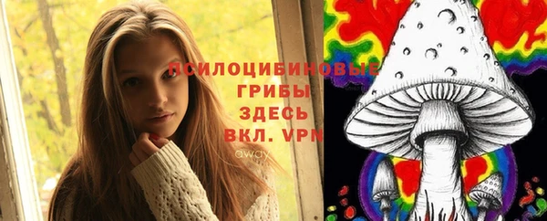 прущие грибы Абаза