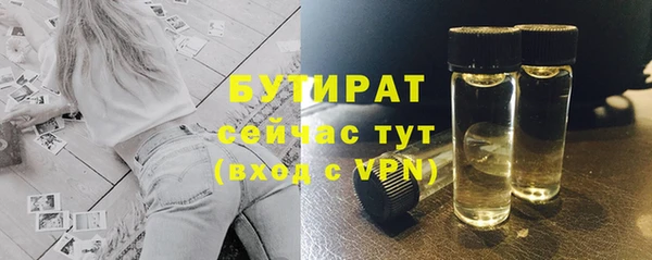 прущие грибы Абаза